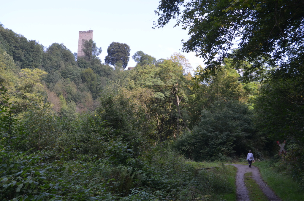 Bahn-Impressionen aus Grenzau (Brexbachtalbahn) 20210917