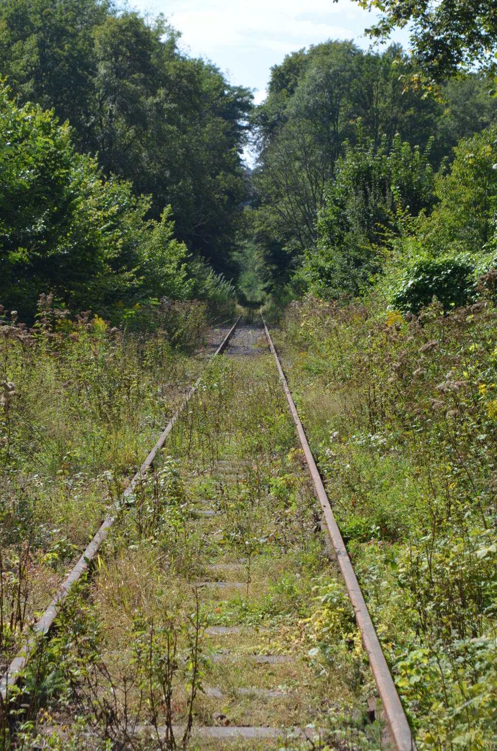Bahn-Impressionen aus Grenzau (Brexbachtalbahn) 20210920