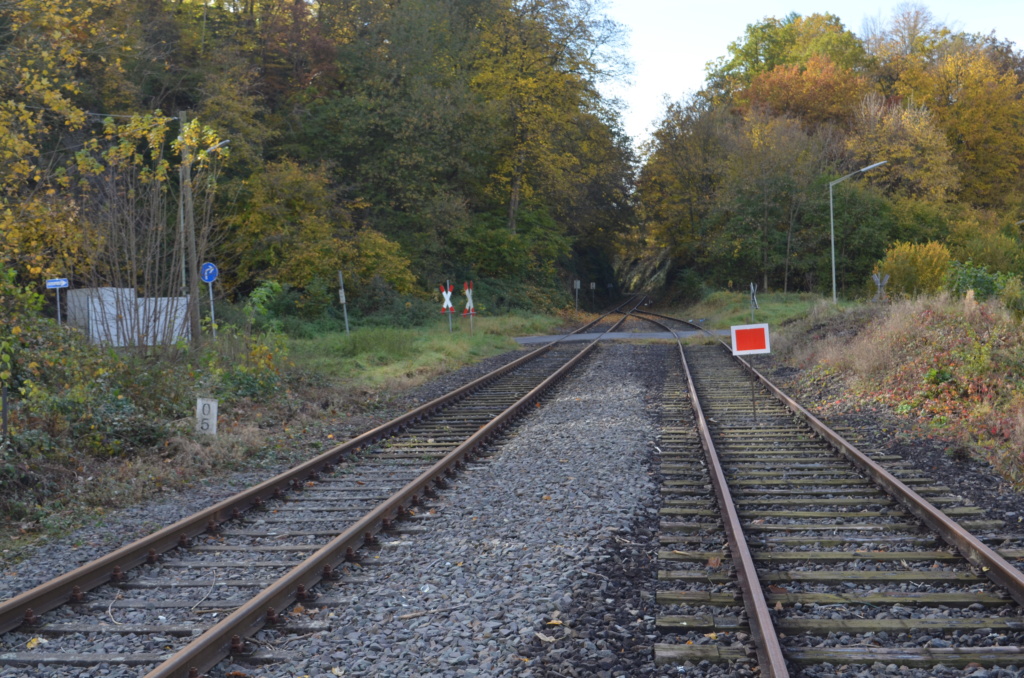 Holzverladung am Bahnhof Scheuerfeld (Bilder) - Seite 5 20211094