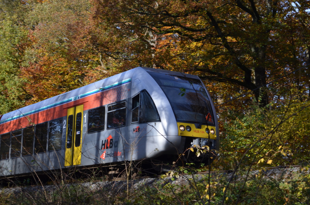 Impressionen - Oberwesterwaldbahn 20211114