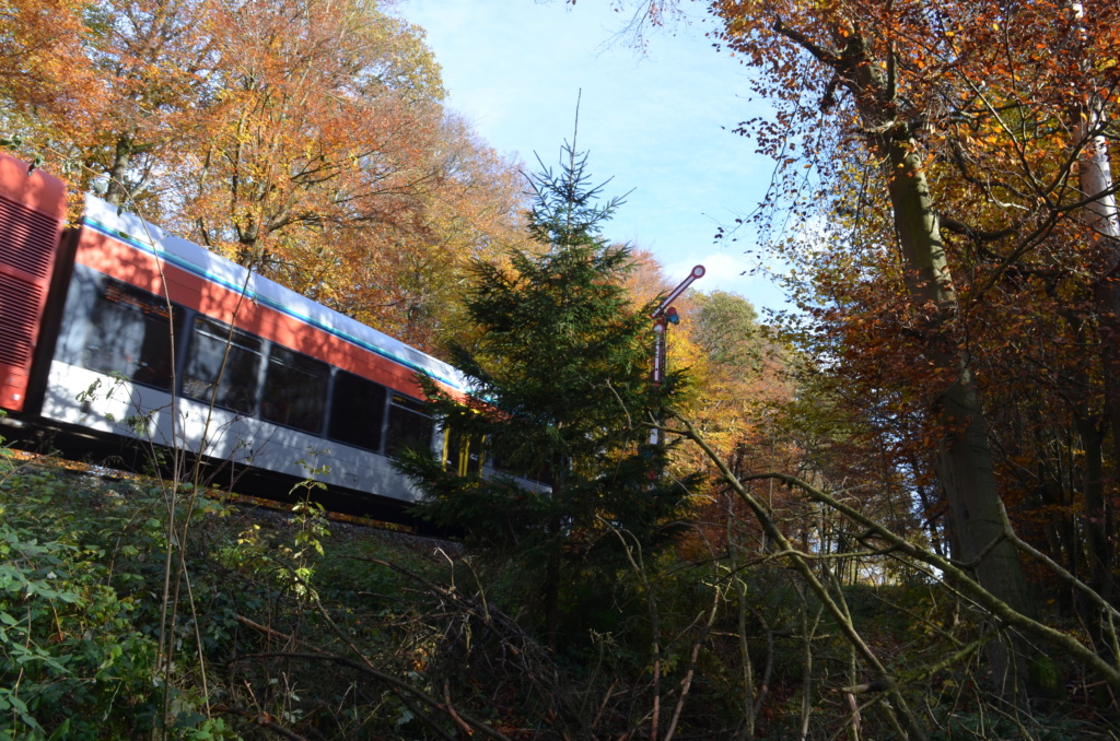 Impressionen - Oberwesterwaldbahn 20211115