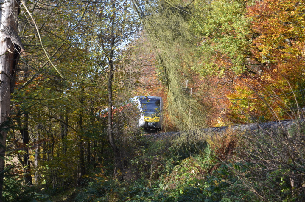 Impressionen - Oberwesterwaldbahn 20211116
