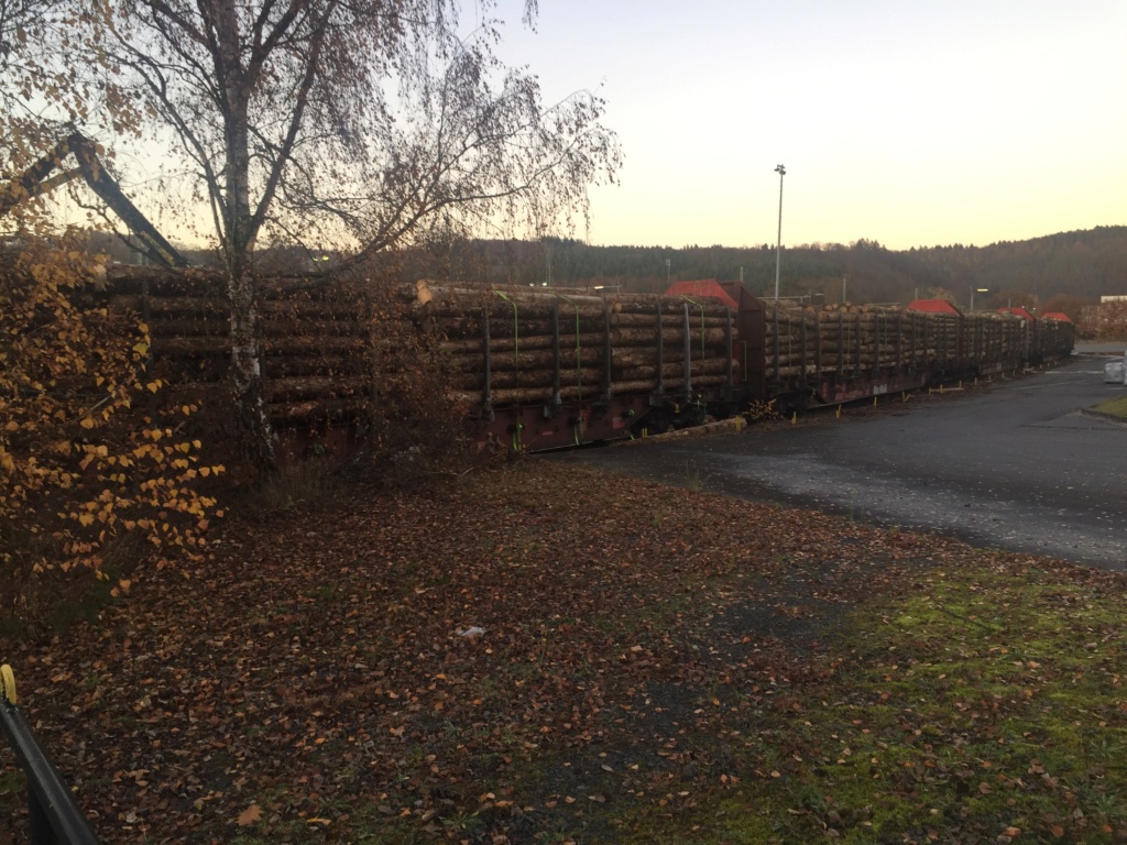 Holzverladung am Bahnhof Scheuerfeld (Bilder) - Seite 5 20211120