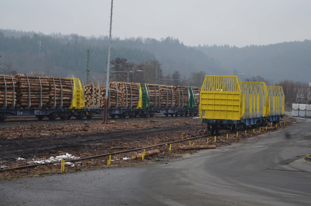 Holzverladung am Bahnhof Scheuerfeld (Bilder) - Seite 6 20220114