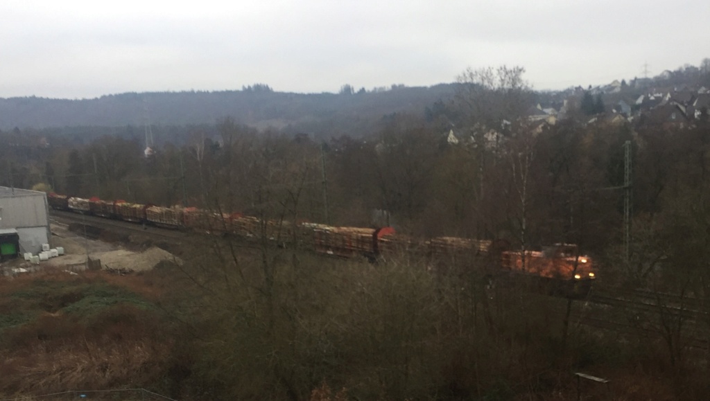 Holzverladung am Bahnhof Scheuerfeld (Bilder) - Seite 6 20220121