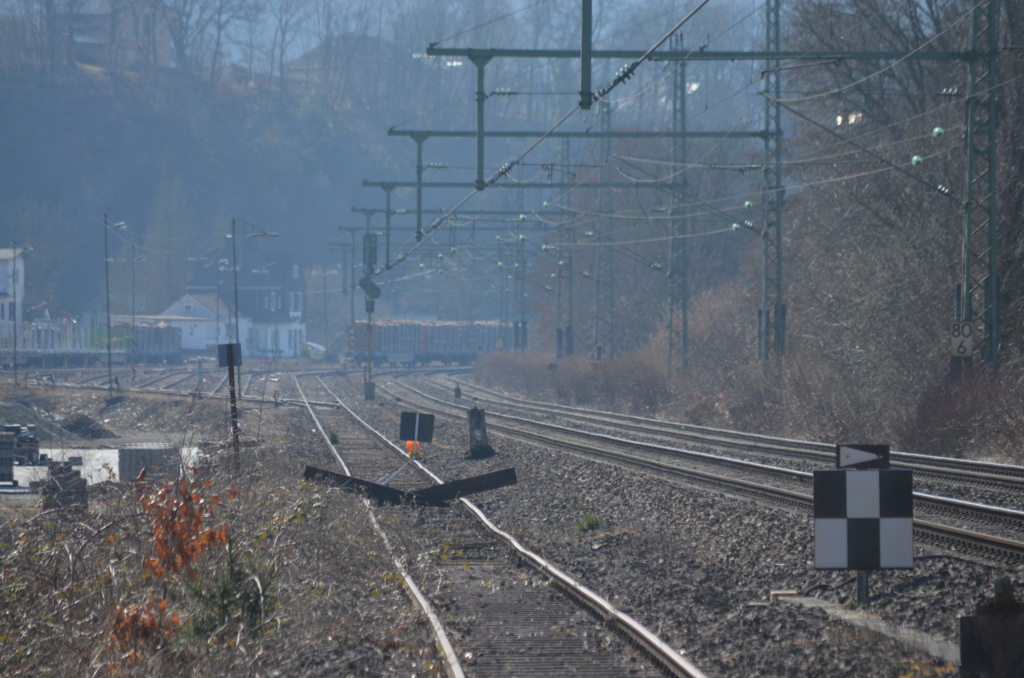 Holzverladung am Bahnhof Scheuerfeld (Bilder) - Seite 7 20220325