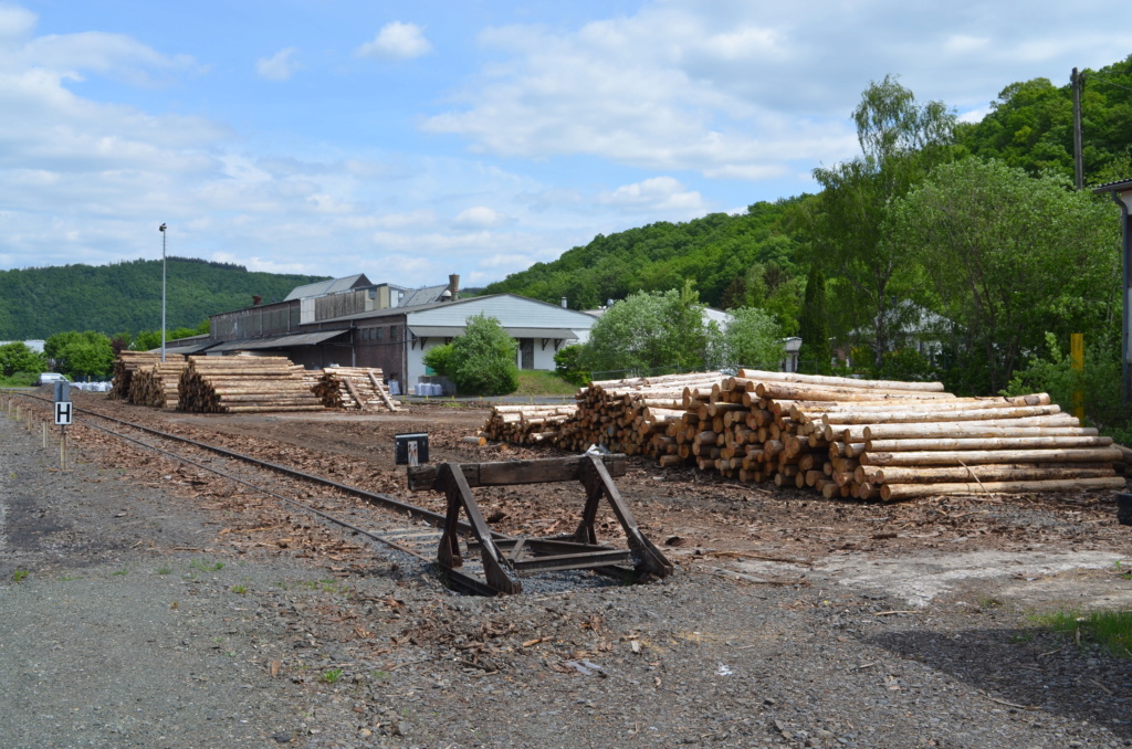 Holzverladung am Bahnhof Scheuerfeld (Bilder) - Seite 7 20220516