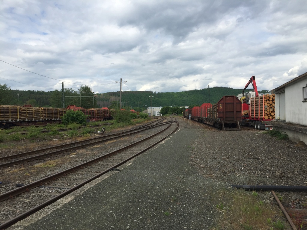 Holzverladung am Bahnhof Scheuerfeld (Bilder) - Seite 7 20220520