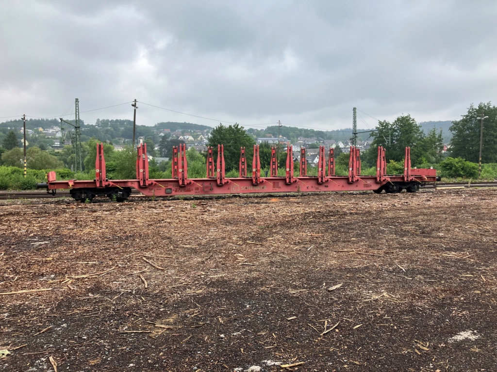 Holzverladung am Bahnhof Scheuerfeld (Bilder) - Seite 8 20220810