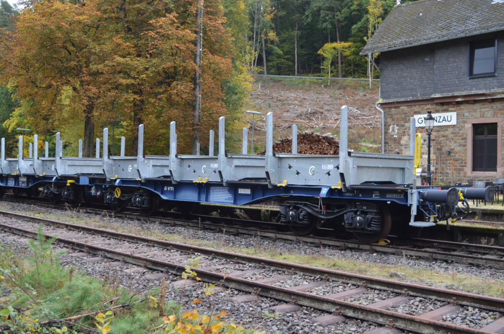 Bahn-Impressionen aus Grenzau (Brexbachtalbahn) Dsc_0912