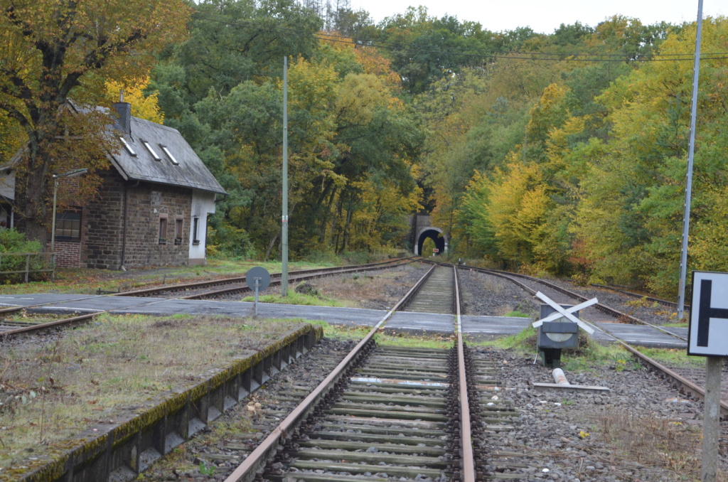 Bahn-Impressionen aus Grenzau (Brexbachtalbahn) Dsc_0914