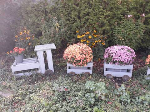 Eisenbahn Im Garten