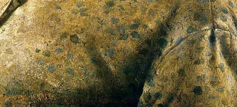 B Technique picturale, tempera et aquarelle Wyeth_63