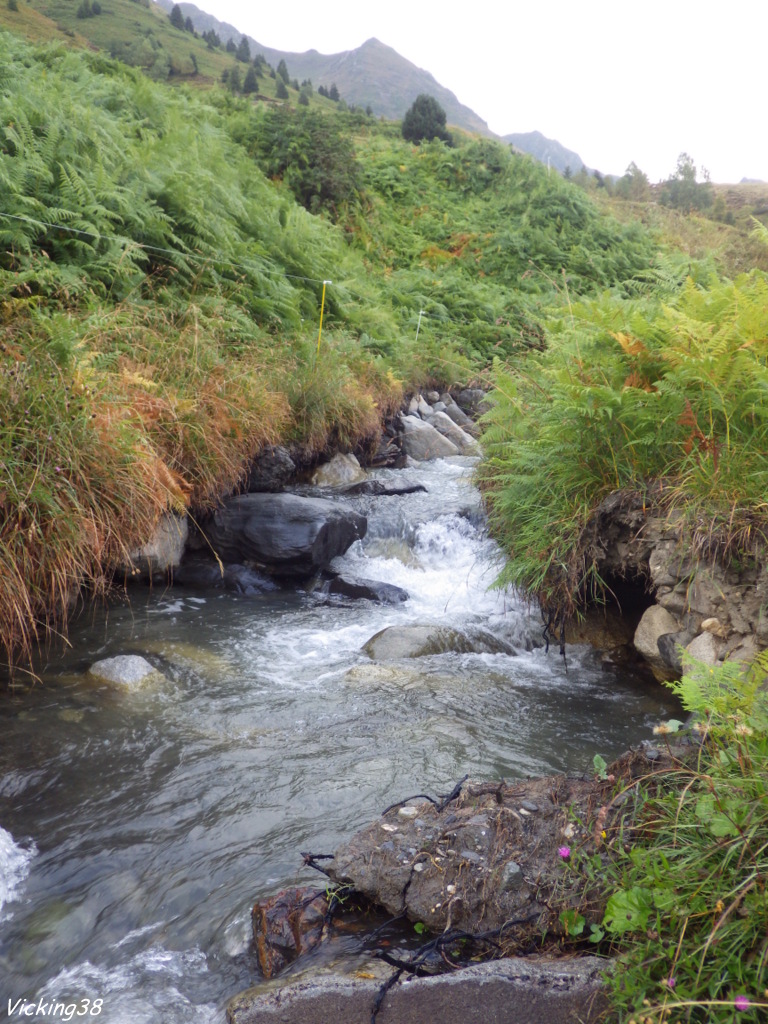 Pêche de la truite das un petit ru du 65,sous un ciel plombé 0114