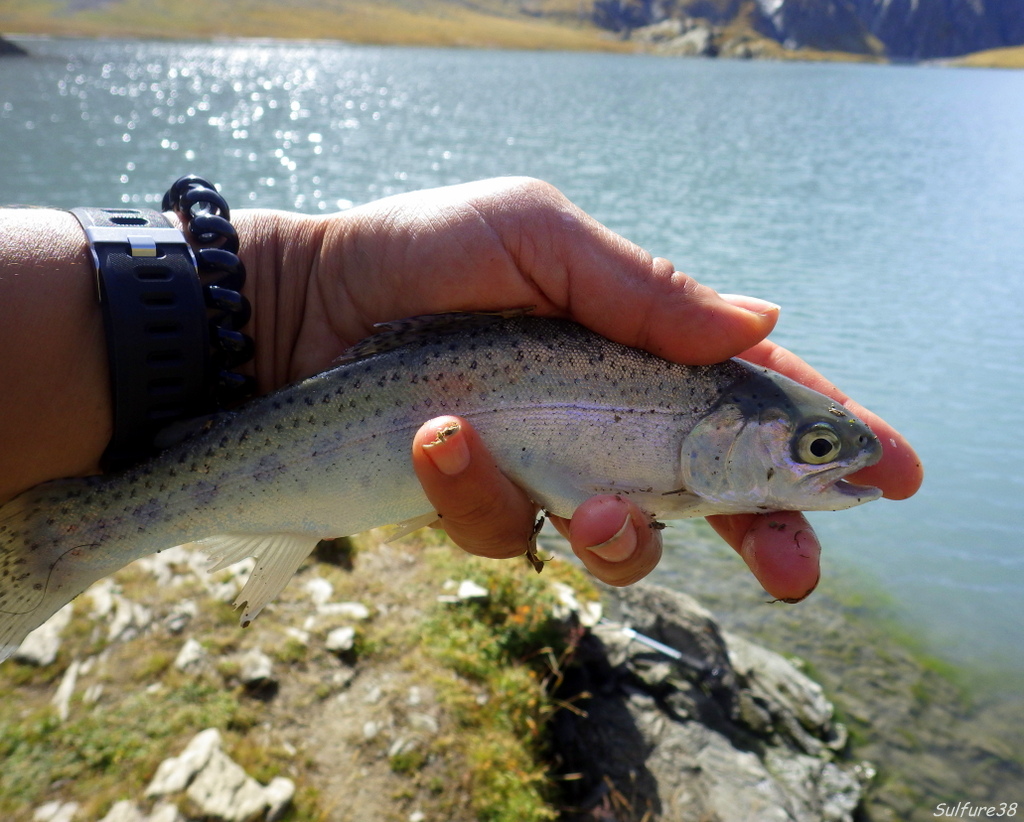 lac du Goléon 0424