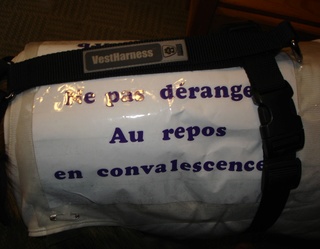 Les confections réalisées pour vos poilus - Page 2 Dossar11