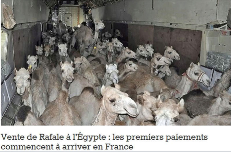 L'Egypte commence à payer les rafales à la France... 2016-110