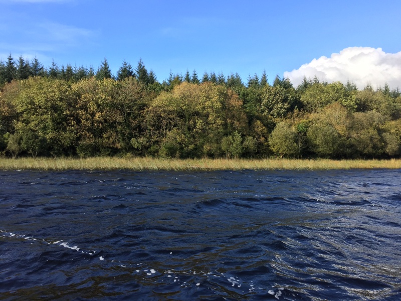 Tag videodepeche sur CARNALOR La Pêche des Carnassiers Ay10