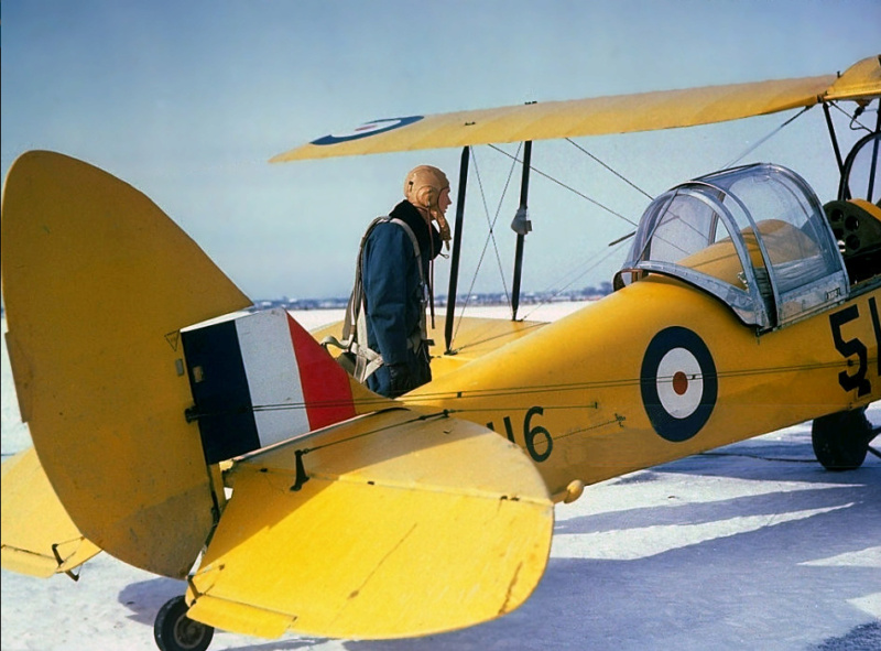 Tiger Moth , un biplan mythique toujours d'actualité Screen11