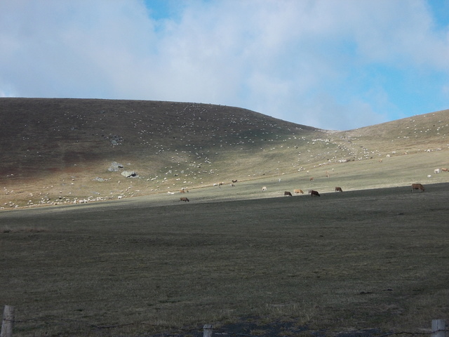 Petit tour en Auvergne avec Aurélien Dscn1532