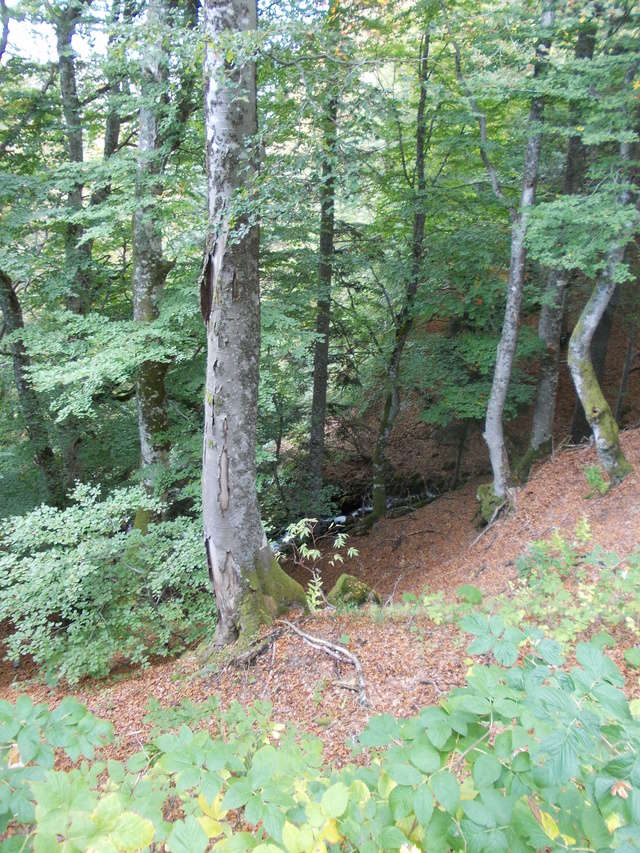 Petit tour en Auvergne avec Aurélien Dscn1553