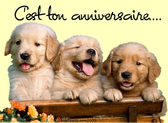 ♫ ♬@Péperemoulin2 ♪ ♩  Annive10