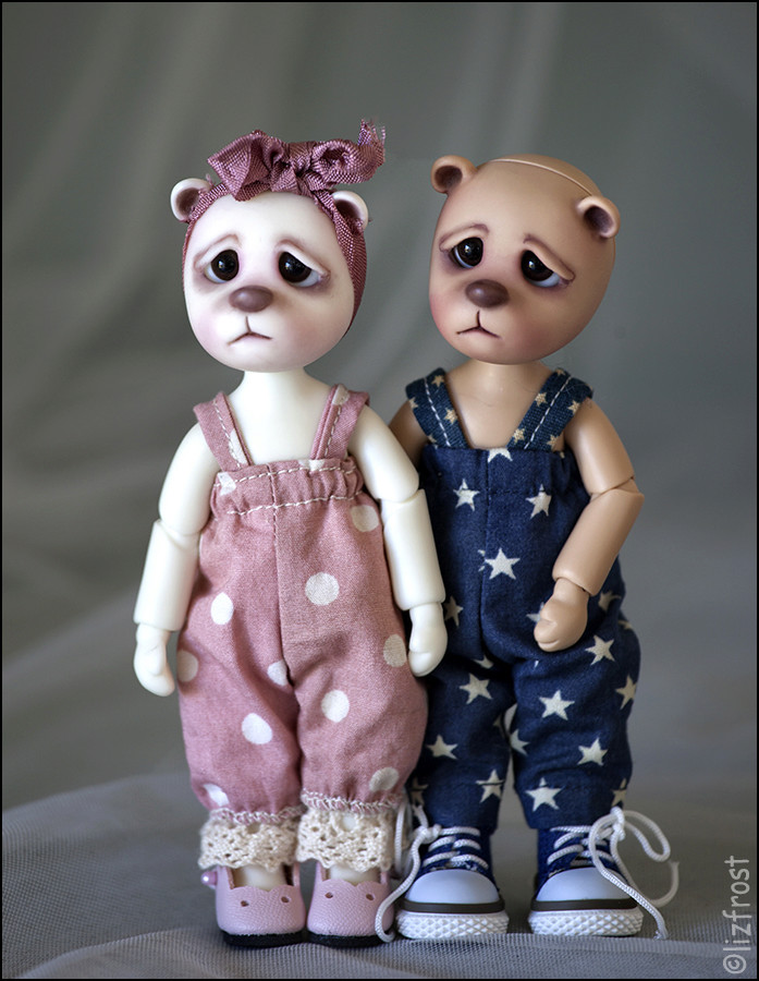 Question sur les liz Frost. Little12