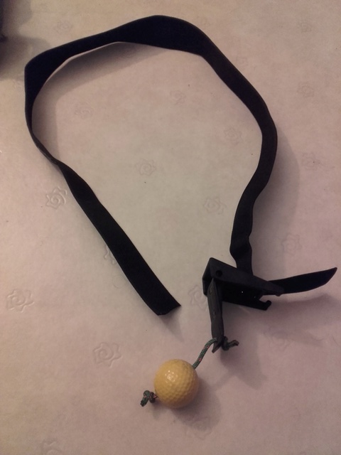 Leash largable bricolé à pas cher 20160911
