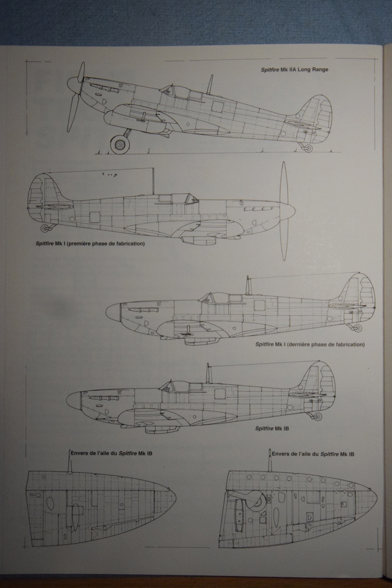 Série de Spitfire Mk.I, II, Va [Présentation au 19/10] Dsc_0413