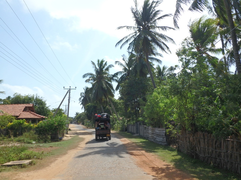 Sri Lanka, spot de Kalpitiya. Des infos? P8120110