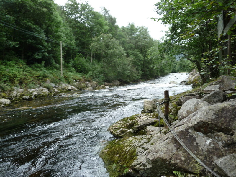 un été généreux P1080217