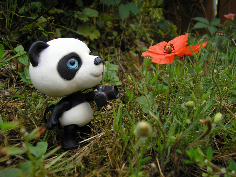 [Panda, lapin...] Des nouvelles du panda page 23 - Page 23 Erzuli10