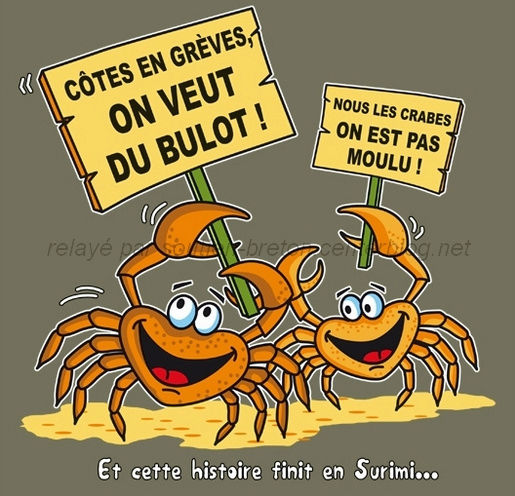 humour - Page 21 Image225