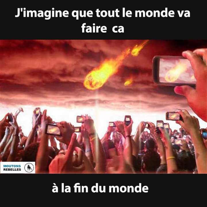 La pensée du jour - Page 26 14100411