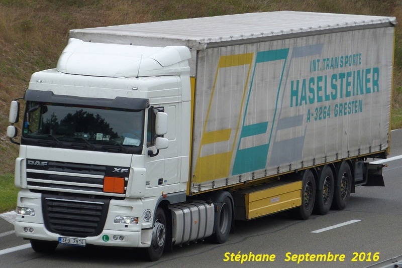 Haselsteiner (Gresten) P1350118