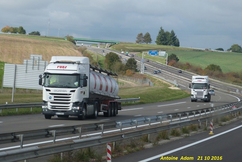 Roos (Durmersheim) - Page 5 P1360132