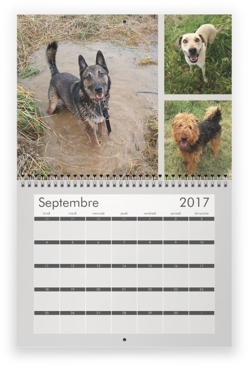 Calendrier 2017 SLPA AMANCE "les chiens d'Amance" Previe13