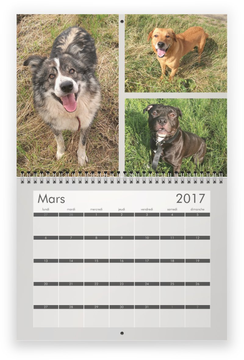 Calendrier 2017 SLPA AMANCE "les chiens d'Amance" Previe15