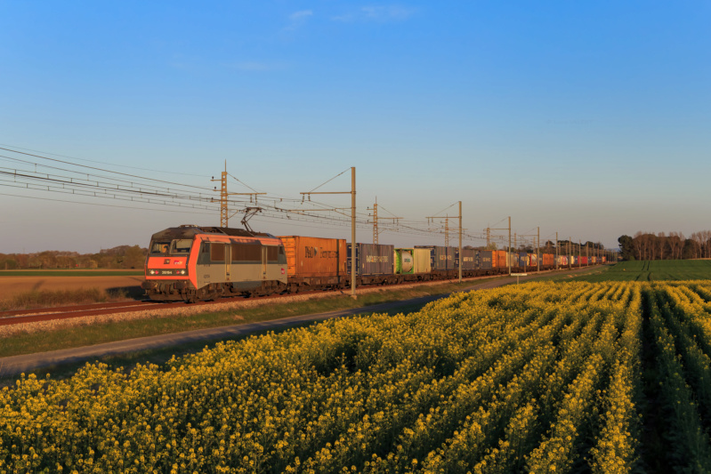 Photos et vidéos de la ligne Bordeaux - Toulouse - Narbonne - Sète (de 2017 à nos jours) - Page 3 Img_7210