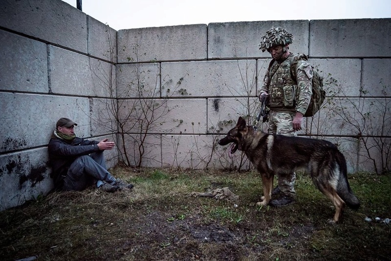 Animaux soldats - Page 6 61h84