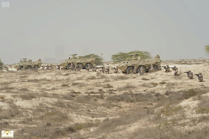 Armée Saoudienne / Armed Forces of Saudi Arabia - Page 24 6317