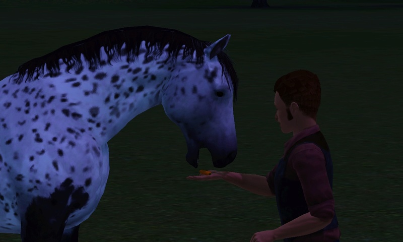 [Challenge] Teens and Horses "Sims 3" Screen18