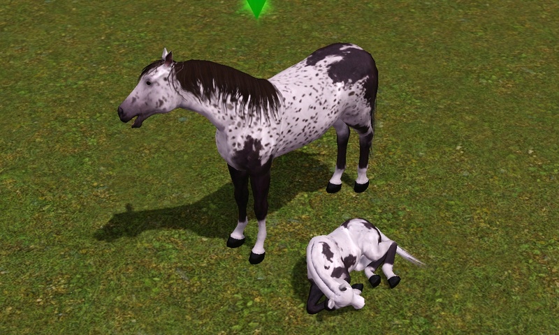 [Challenge] Teens and Horses "Sims 3" Screen77