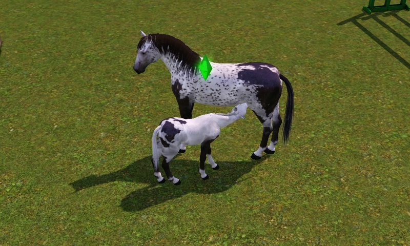 [Challenge] Teens and Horses "Sims 3" Screen82