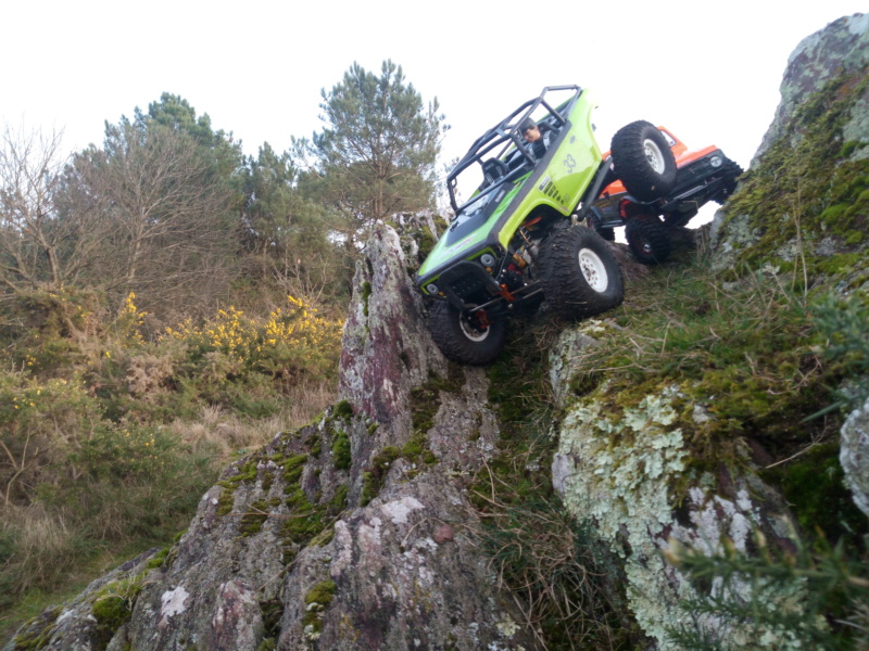 Sorties et Rassemblements Rc Scale Trial 4x4 et Crawler en Loire Atlantique Février 2019 Img_2011