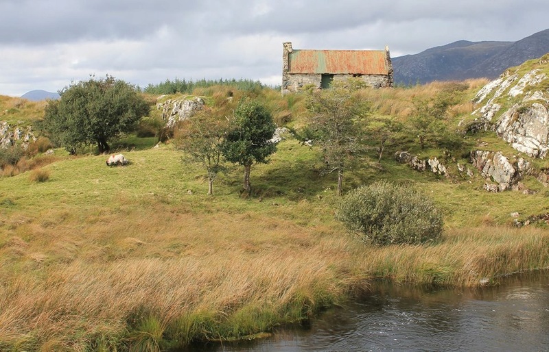 Connemara ruin. 14611010