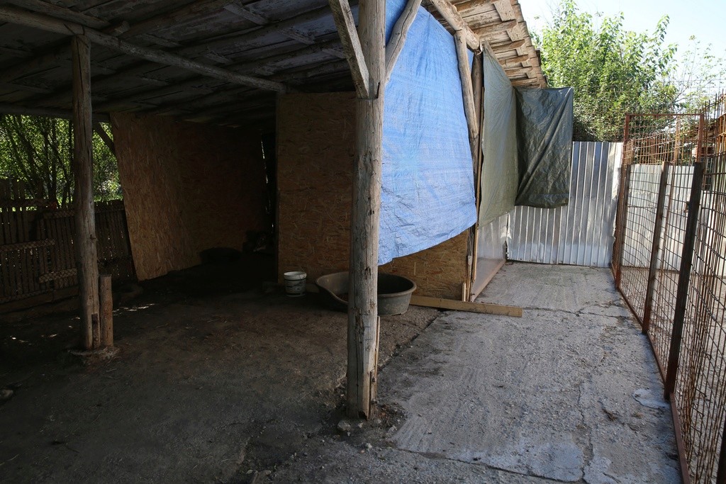 Présentation du refuge d'Irina, fin août 2016. Hx9a9258