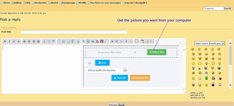 up load pictures - How to upload the picture/s on our forum (in pictures) Postin12