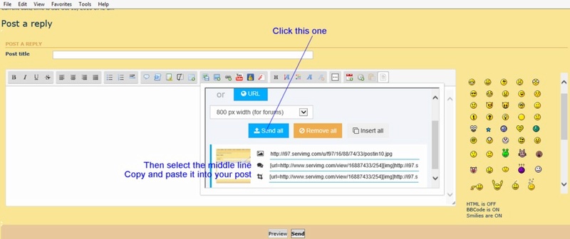 how to post pictures - How to upload the picture/s on our forum (in pictures) Postin13