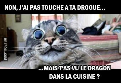 HUMOUR - blagues - Page 8 08206c10